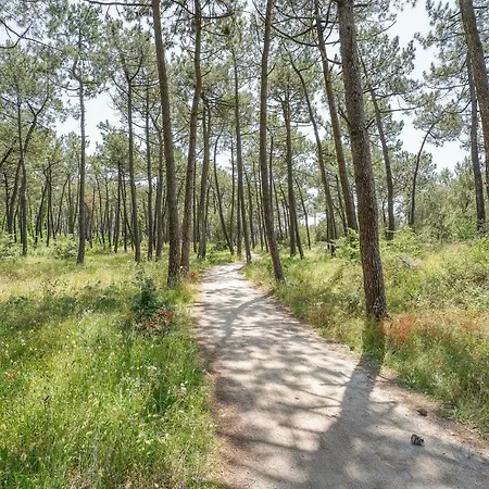 Beautiful In بيت للعطل