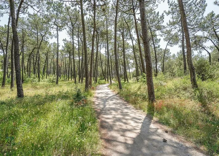 Beautiful In Casa de Férias